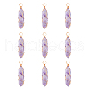 Natural Amethyst Pendants G-CJ0001-43-4