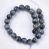 Natural Hawk's Eye Beads Strands X-G-S333-8mm-027-2