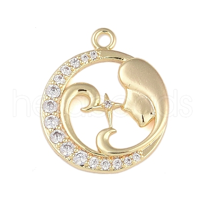 Brass Micro Pave Clear Cubic Zirconia Pendants FIND-B077-02G-09-1