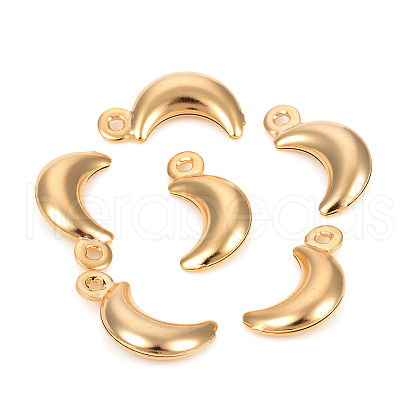 304 Stainless Steel Charms STAS-L244-17G-1