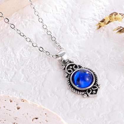 Bohemian Style Horse Eye Alloy with Resin Pendant Necklaces for Women FS-WG56C17-02-1