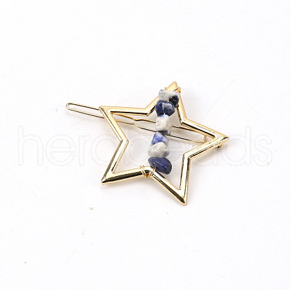 Alloy Vintage Hair Barrettes PW-WG7AB9B-01-1