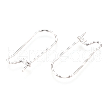 304 Stainless Steel Hoop Earring Findings STAS-P223-01S-01-1