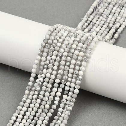 Natural Howlite Beads Strands G-C181-B03-02-1