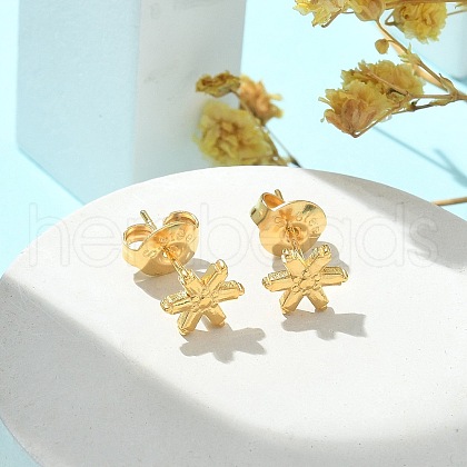 304 Stainless Steel Stud Earrings for Women STAS-Z117-14G-04-1