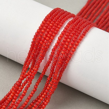 Cat Eye Beads Strands CE-C007-A05-2mm-1