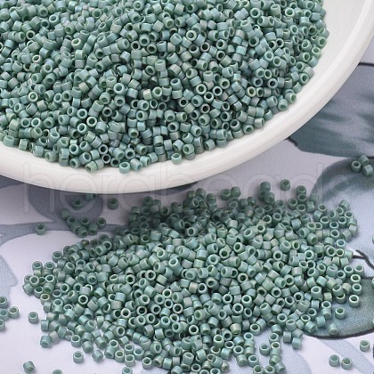 MIYUKI Delica Beads SEED-X0054-DB2313-1