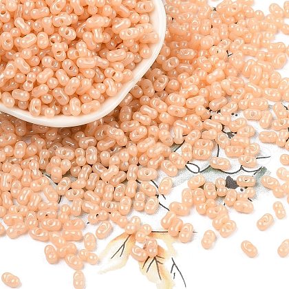 Baking Paint Glass Seed Beads SEED-L011-09A-12-1