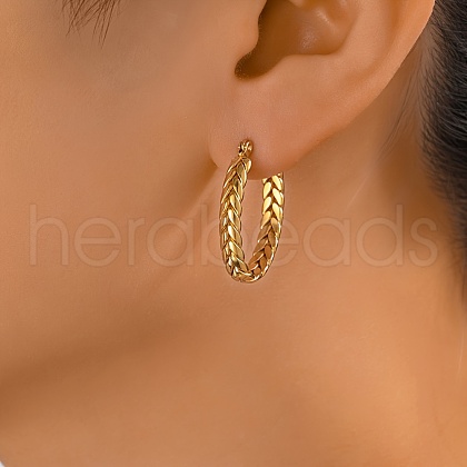 Stainless Steel Irregular Geometric Fashion Hoop Earrings for Women WL3823-3-1