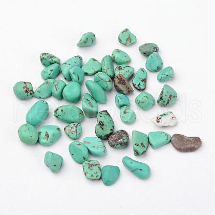 Natural Magnesite Beads TURQ-G929-C01-1