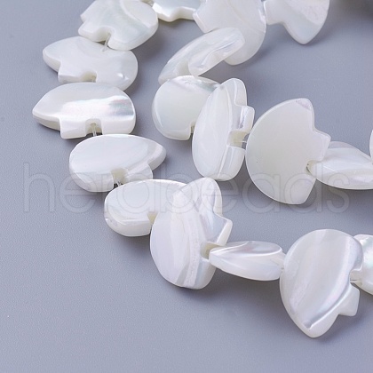 Shell Beads Strands SSHEL-E571-26-1
