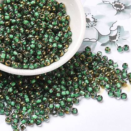 Glass Seed Beads X1-SEED-H002-B-D221-1