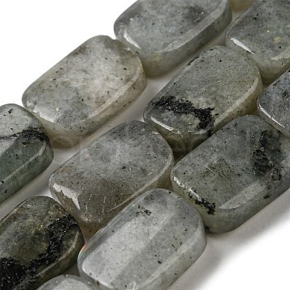 Natural Labradorite Beads Strands G-M420-M02-02-1