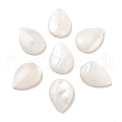 Natural Freshwater Shell Cabochons SHEL-D082-01A-1