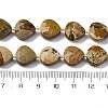 Natural Picture Jasper Beads Strands G-P570-E09-02-5
