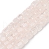 Natural Rose Quartz Beads Strands G-H087-D02-01-1
