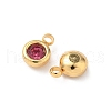 304 Stainless Steel Charms STAS-Z115-01G-10-2