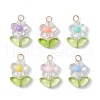 Transparent Acrylic Pendants PALLOY-JF03713-02-1