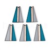 Transparent Resin & Wood Pendants RESI-T057-61A-1