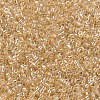 MIYUKI Delica Beads SEED-X0054-DB0099-2