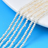 Natural Cultured Freshwater Pearl Beads Strands X-PEAR-N013-02B-1