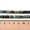 Natural African Turquoise(Jasper) Beads Strands G-G980-33A-5