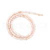 Natural Freshwater Shell Beads Strands SHEL-G013-01L-2