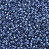 MIYUKI Round Rocailles Beads SEED-G007-RR0648-3
