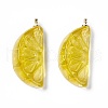 Transparent Resin Pendants RESI-P020-01P-4
