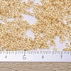 MIYUKI Delica Beads SEED-X0054-DB0099-3