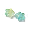 Frosted Acrylic Charms OACR-M023-04C-2