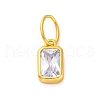 925 Sterling Silver Cubic Zirconia Charms STER-NH0014-01G-12-1