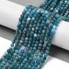 Natural Apatite Beads Strands G-G189-D16-02-2