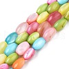 Freshwater Shell Beads Strands SHEL-T009-B15-06-1