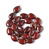 Natural Brecciated Jasper Beads Strands G-L242-10-3