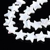 Natural Trochid Shell/Trochus Shell Beads Strands SSHEL-N034-96A-B01-3