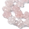 Natural Rose Quartz Beads Strands G-M418-D07-01-4