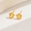 Fashionable Brass Stud Earrings YN8845-6-1