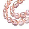 Natural Cultured Freshwater Pearl Beads Strands PEAR-N012-06H-2