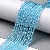 Transparent Glass Beads Strands GLAA-H021-03-13-3