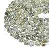 Natural Labradorite Beads Strands G-P573-C07-01-3
