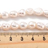 Natural Cultured Freshwater Pearl Beads Strands PEAR-P062-28A-5