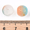 Frosted Baking Painted Crackle Glass Beads with Glitter Powder X1-DGLA-T004-01C-3
