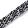Natural Snowflake Obsidian Beads Strands G-H255-12-1