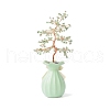 Natural Green Aventurine Chips with Brass Wrapped Wire Money Tree on Ceramic Vase Display Decorations DJEW-B007-01E-2
