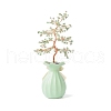 Mother's Day Natural Green Aventurine Chips with Brass Wrapped Wire Money Tree on Ceramic Vase Display Decorations DJEW-B007-01E-2