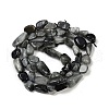 Natural Eagle Eye Stone Beads Strands G-Q060-D06-3