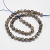 Natural Labradorite Round Bead Strands G-M262-6mm-09-2