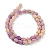 Synthetic Shell Dyed Carved Beads Strands SHEL-K007-08A-01-2