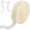Polyester Organza Ribbons SRIB-WH20020-003A-01-1